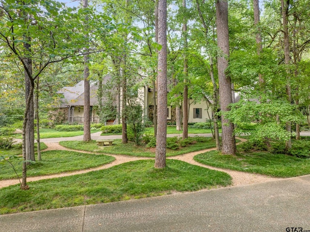 view of property's community with a yard