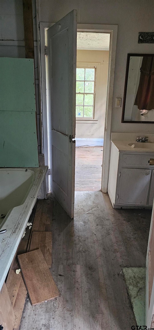 bathroom with sink and wood-type flooring