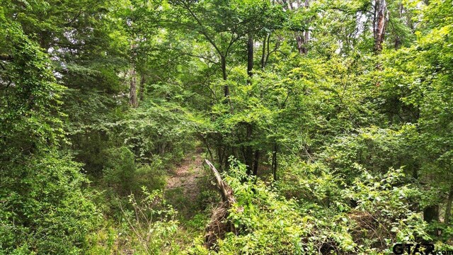 TBD Cr 3289, Quitman, TX 75783 - photo 11