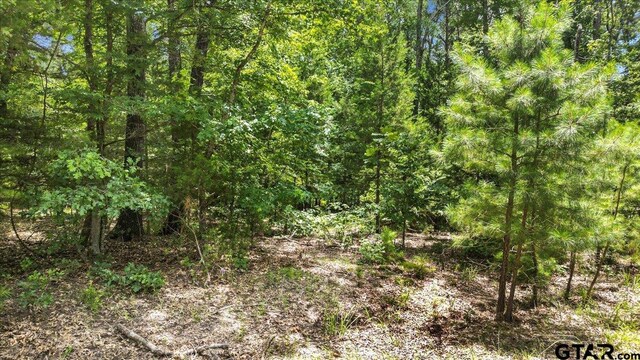 TBD Cr 3289, Quitman, TX 75783 - photo 7