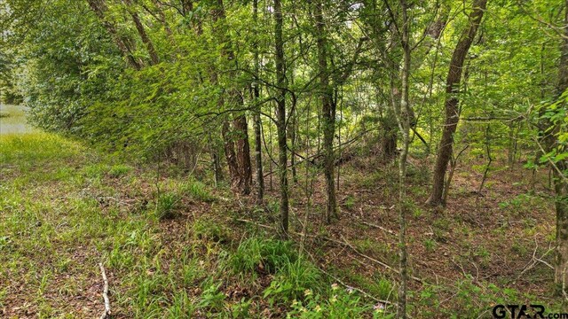 TBD Cr 3289, Quitman, TX 75783 - photo 17