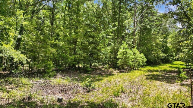 TBD Cr 3289, Quitman, TX 75783 - photo 6
