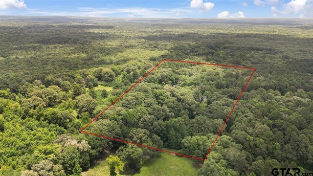 TBD Cr 3289, Quitman, TX 75783 - photo 5