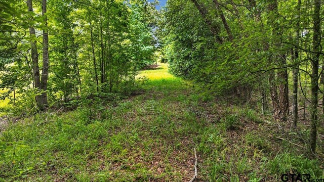 TBD Cr 3289, Quitman, TX 75783 - photo 16