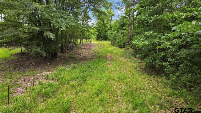 TBD Cr 3289, Quitman, TX 75783 - photo 18