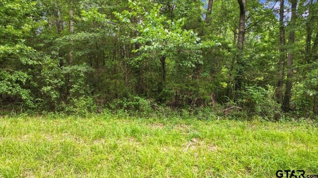 TBD Cr 3289, Quitman, TX 75783 - photo 12
