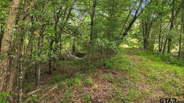 TBD Cr 3289, Quitman, TX 75783 - photo 13