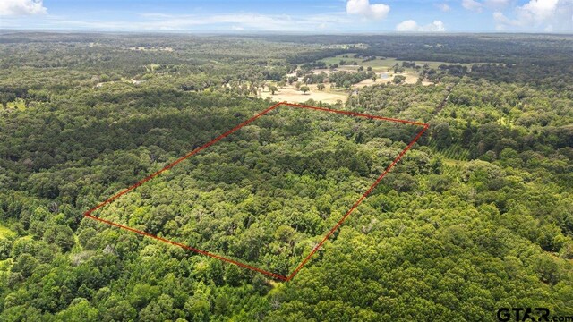 TBD Cr 3289, Quitman, TX 75783 - photo 2