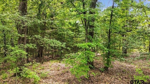 TBD Cr 3289, Quitman, TX 75783 - photo 10