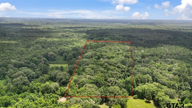 TBD Cr 3289, Quitman, TX 75783 - photo 4