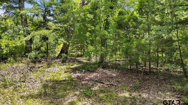 TBD Cr 3289, Quitman, TX 75783 - photo 8