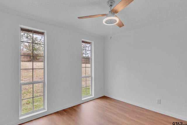 spare room with a textured ceiling, light hardwood / wood-style floors, ceiling fan, and ornamental molding