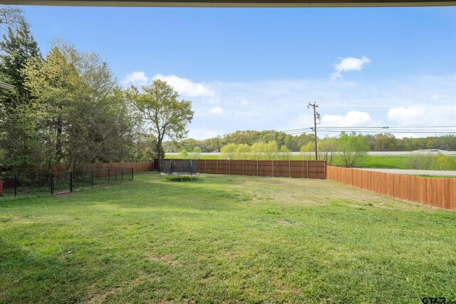 view of yard featuring a fenced backyard and a trampoline