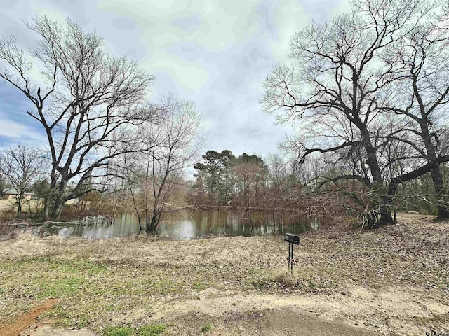 view of yard with a water view