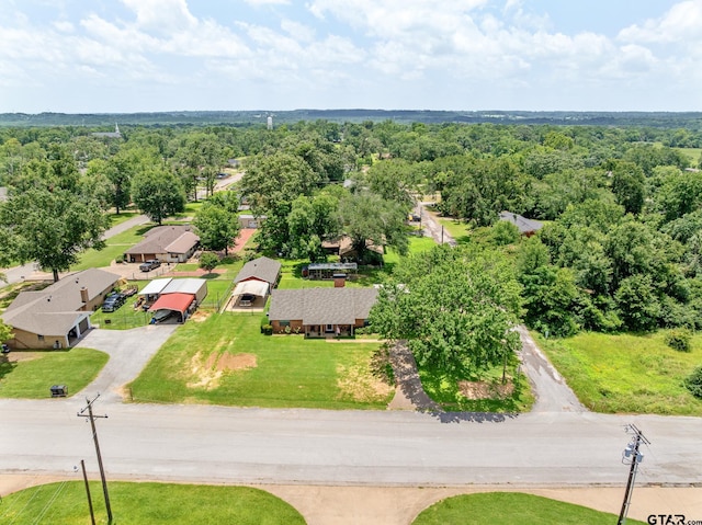 104 W Perry St, Frankston, TX 75763 - drone / aerial view