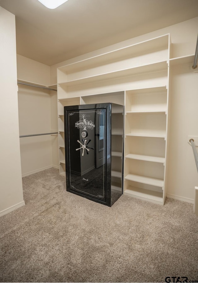 spacious closet featuring carpet flooring