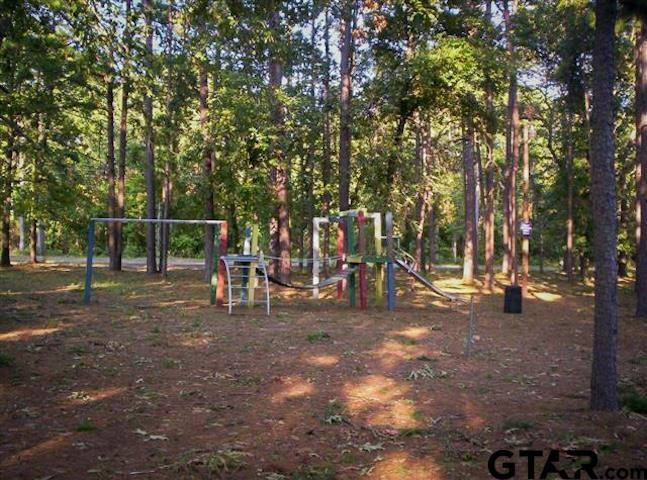 368 Martha St, Bullard, TX 75757 - photo 4