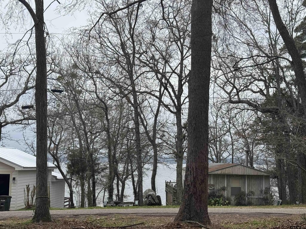 368 Martha St, Bullard, TX 75757 - photo 1