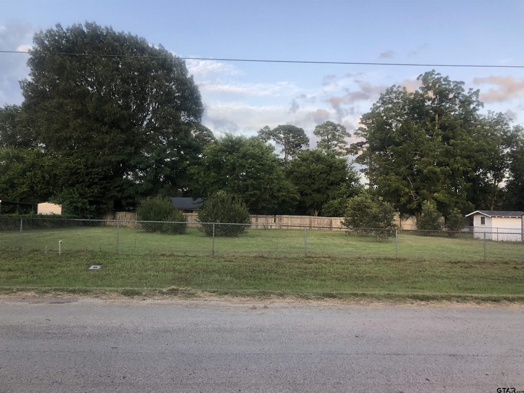 319 Daniels St, Rusk, TX 75785 - photo 2