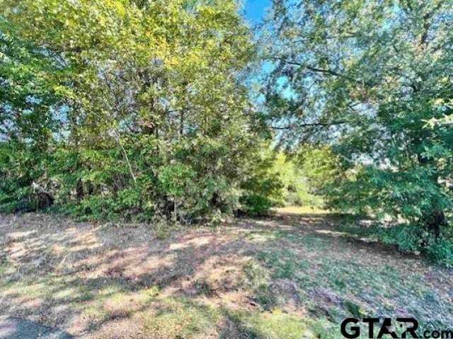 813 Carpenter St, Daingerfield TX, 75638 land for sale