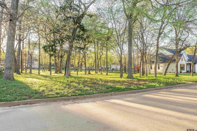 Dogwood Lake Cir, Bullard, TX 75757 - photo 11
