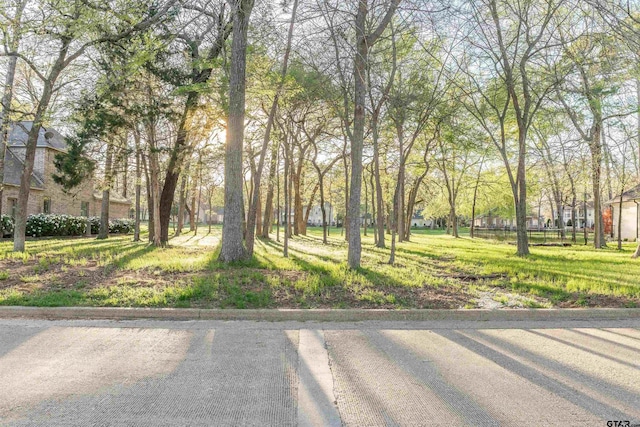 Dogwood Lake Cir, Bullard, TX 75757 - photo 10
