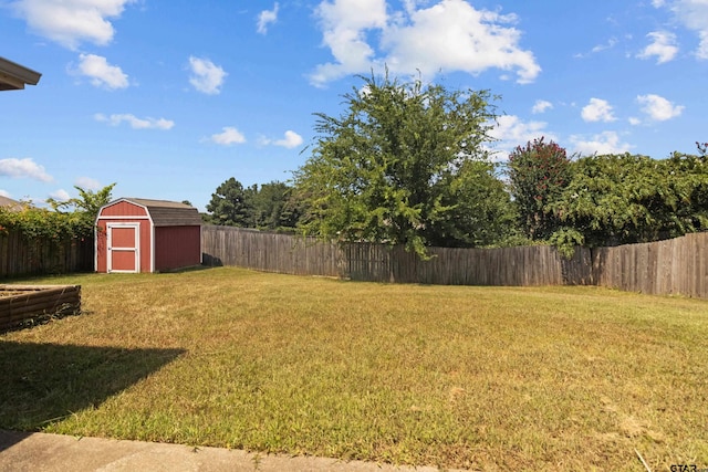 view of yard featuring a storage unit