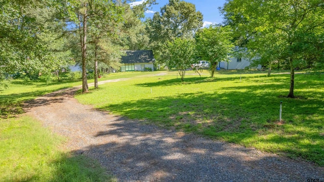 view of home's community with a yard