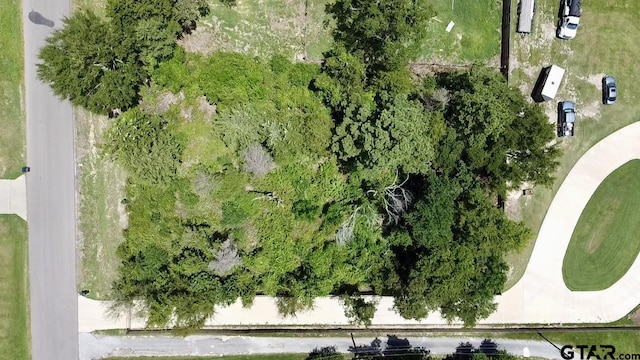 10971 W County Road 152, Bullard, TX 75757 - photo 6
