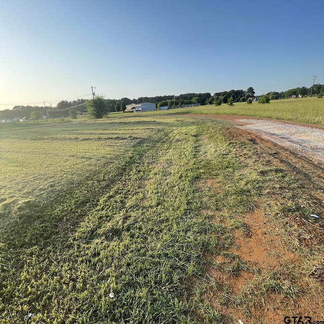 162 Red Bud Cir, Bullard, TX 75757 - photo 4