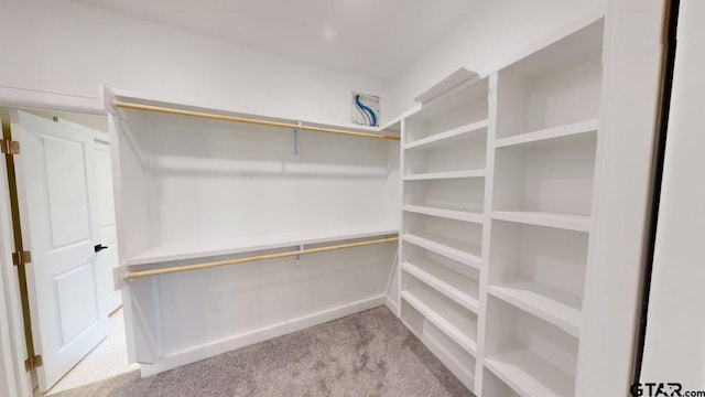 19346 Aida Dr, Flint, TX 75762 - walk in closet with carpet flooring