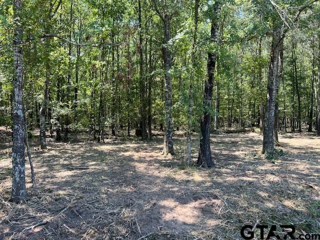 TBD County Road 3925, Mount Pleasant, TX 75455 - photo 3