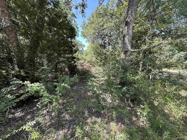 0 Yuma Dr, Mabank, TX 75156 - photo 3
