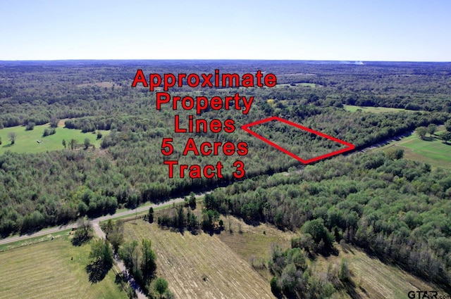 5ACRESTRACT3 Fm 2455, Pittsburg TX, 75686 land for sale