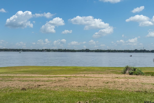 15541 Precidio Cir, Malakoff, TX 75148 - water view