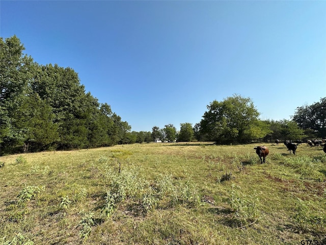 Listing photo 3 for 87ACRES Fm 269, Pickton TX 75471