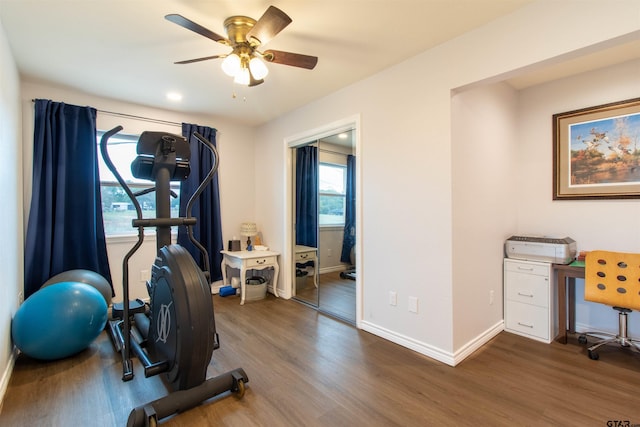 workout area featuring dark hardwood / wood-style floors and ceiling fan