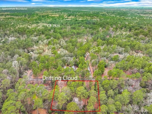 birds eye view of property featuring a view of trees