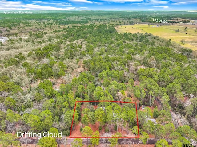 aerial view featuring a wooded view