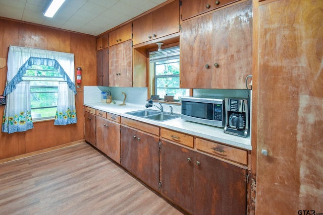 kitchen featuring light hardwood / wood-style floors, wood walls, and sink