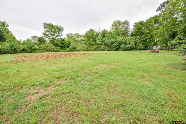 view of yard with a rural view