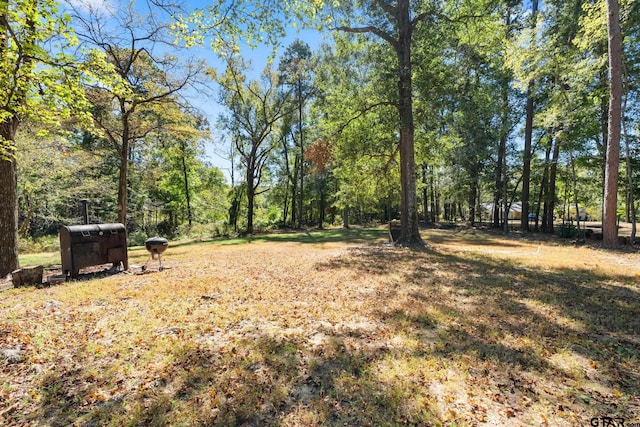 6846 Fm 346, Tyler, TX 75703 - view of yard