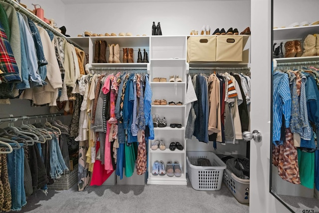 walk in closet with carpet flooring