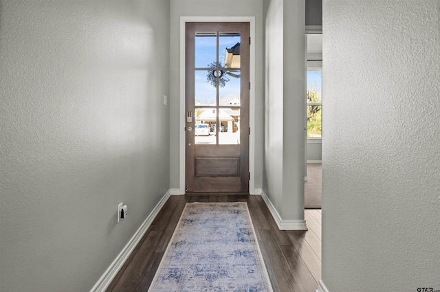 doorway featuring dark hardwood / wood-style flooring and a wealth of natural light