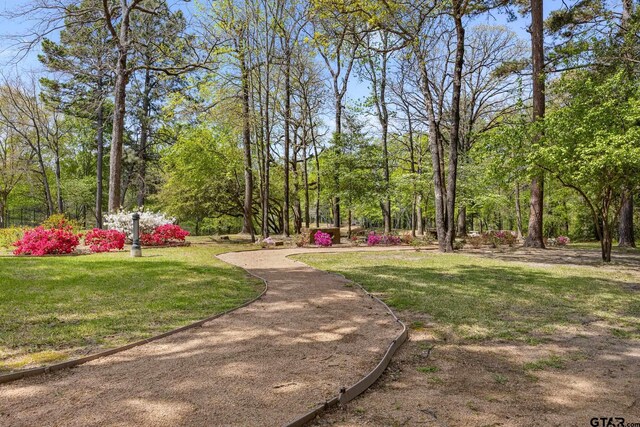5875 Stonegate Trl, Tyler, TX 75703 - surrounding community with a lawn