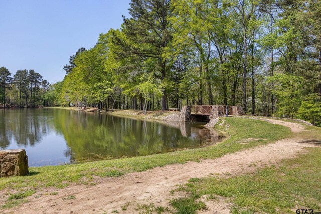 5875 Stonegate Trl, Tyler, TX 75703 - water view featuring a heavily wooded area