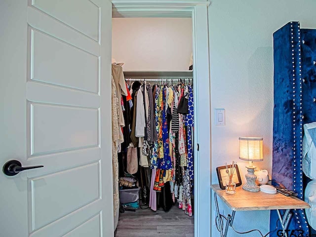 spacious closet with hardwood / wood-style flooring