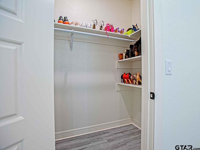 spacious closet featuring wood-type flooring