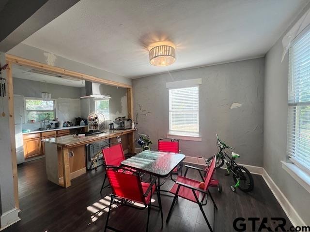 dining area featuring dark wood-type flooring, sink, and a healthy amount of sunlight