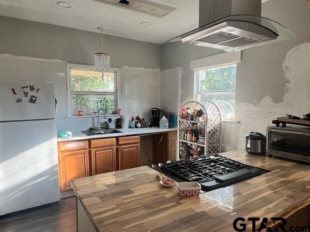 kitchen featuring sink, ventilation hood, dark wood-type flooring, white fridge, and butcher block countertops